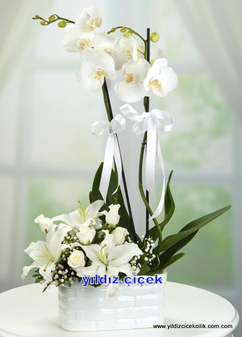 seramik saksıda orkide ve lilyum gül